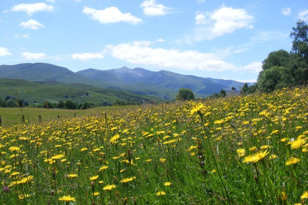 Cul Darach Lodge, Glen Roy Nature Reserve Roybridge Buitenkant foto